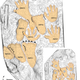 Image showing the positions of each print.